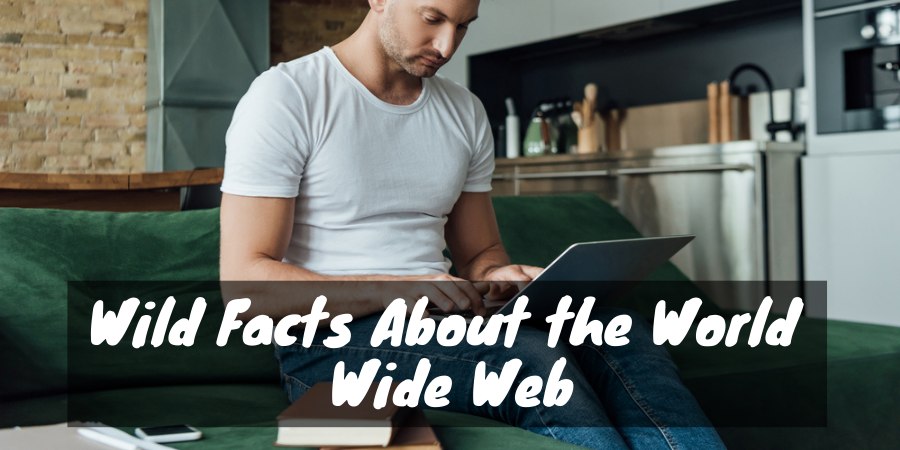 Wild facts about the internet
